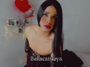 Bellacattleya