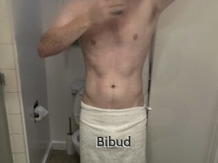Bibud
