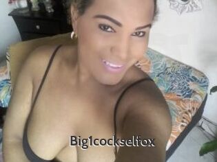 Big1cockselfox