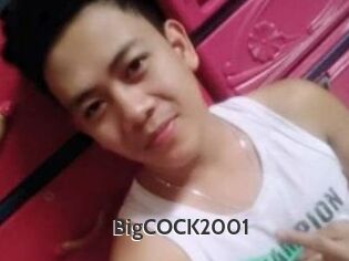 BigCOCK2001