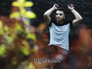 Bigassalex