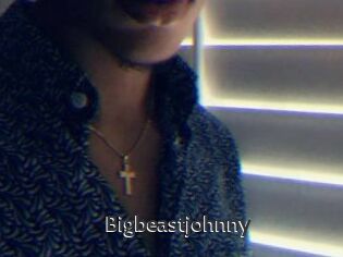 Bigbeastjohnny