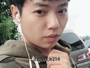Bigcock214