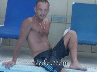 Bigdick22cm