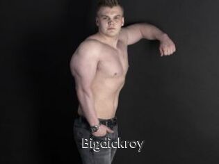 Bigdickroy