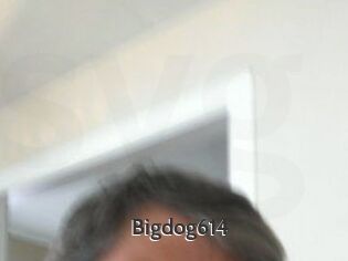 Bigdog614