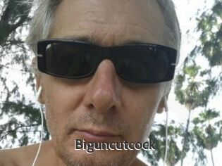 Biguncutcock