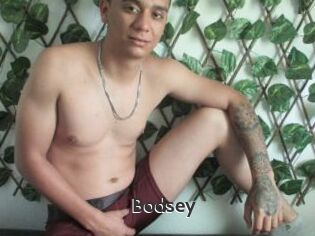 Bodsey