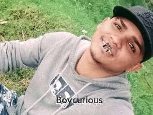 boycurious Sex Video Gif