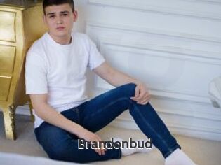 Brandonbud