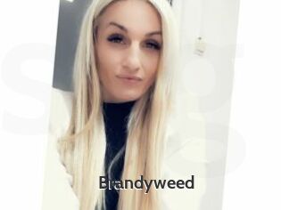 Brandyweed