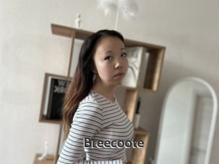 Breecoote