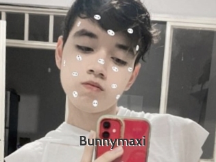 Bunnymaxi