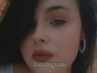 Burningrose