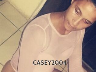 CASEY2004