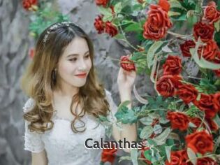Calanthas