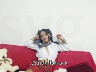 Candyflowers