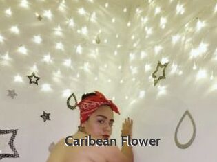 Caribean_Flower