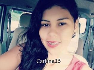 Carlina23