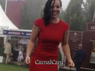 CarnalCam