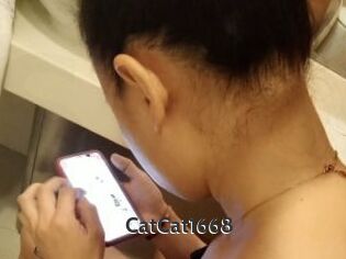 CatCat1668