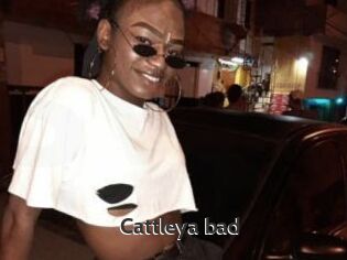 Cattleya_bad