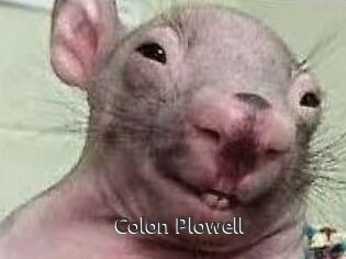 Colon_Plowell