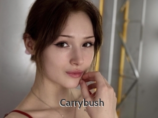 Carrybush