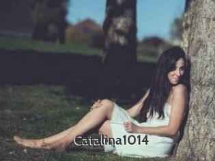 Catalina1014