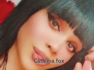 Catalina_fox