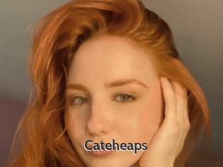 Cateheaps