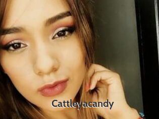 Cattleyacandy