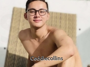 Ceddiecollins
