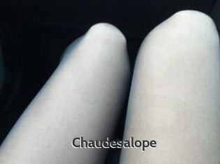 Chaudesalope
