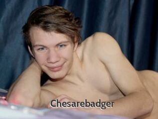 Chesarebadger