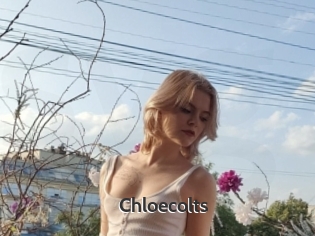 Chloecolts