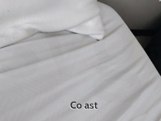 Co_ast