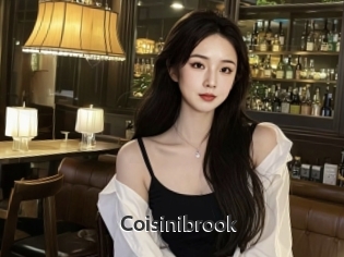 Coisinibrook