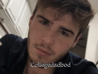 Collegedadbod