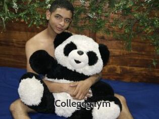 Collegegaym