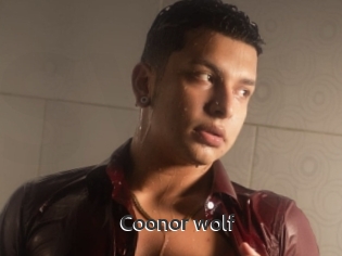 Coonor_wolf