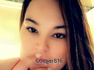 Cougar816