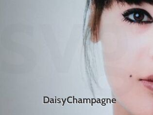 DaisyChampagne