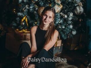 DaisyDandelion
