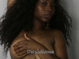 Dandeliones