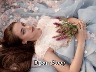 DreamSleep