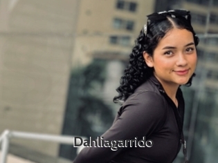 Dahliagarrido