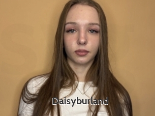 Daisyburland