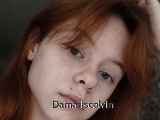 Damariscolvin