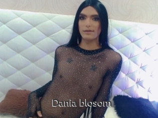 Dania_blosom